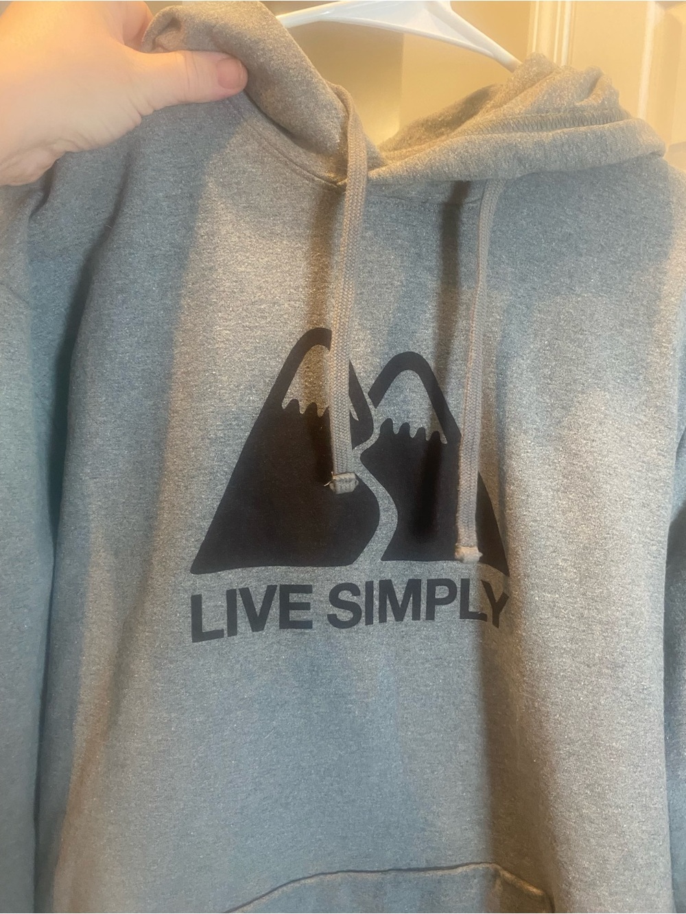 Patagonia Gray Hoodie Sweatshirt